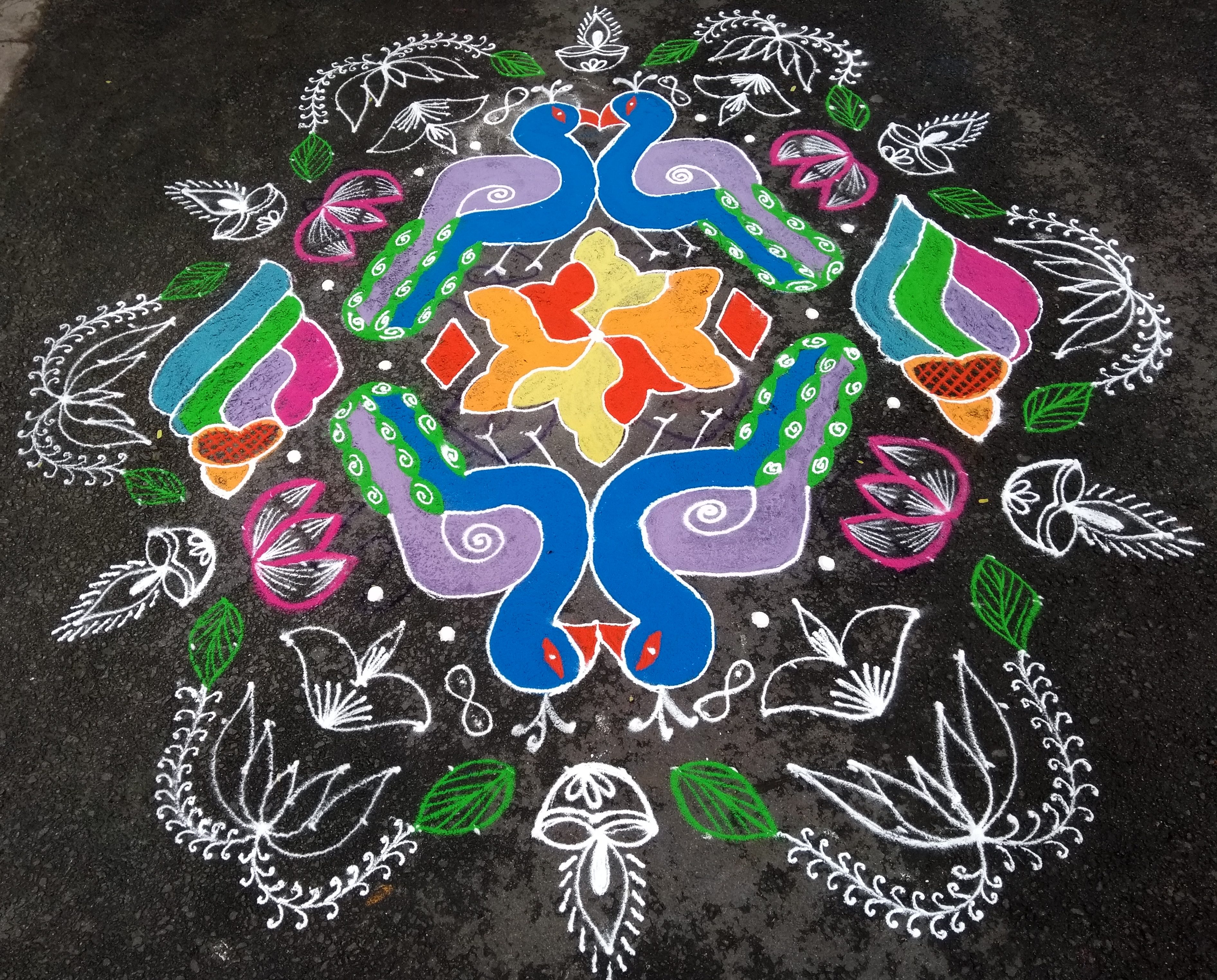Peacock Kolam with 25 dots || Colour kolam for Contest
