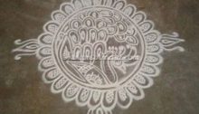 Peacock, Paisley Rangoli, Kolam, Muggulu