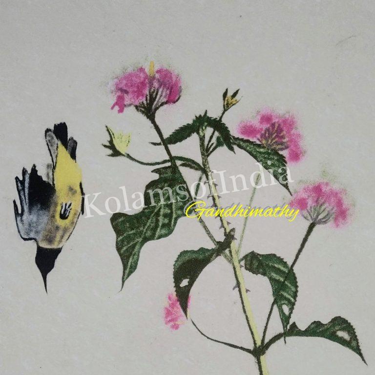 muggulu, margazhi kolam, big kolam, muggulu,rangoli,