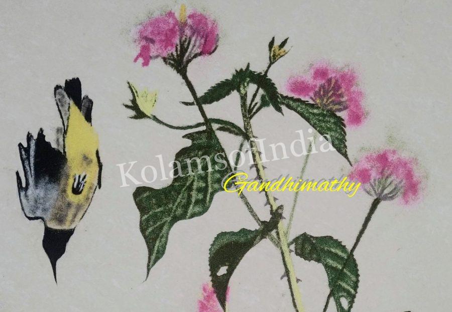 muggulu, margazhi kolam, big kolam, muggulu,rangoli,